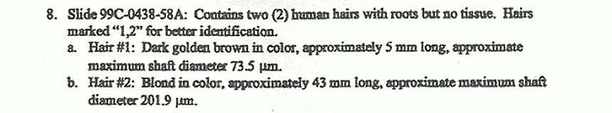 November 30, 1999: AFME Forensic Trace Materials Analysis Lab Report, p. 3