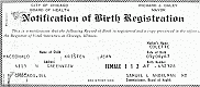 May 8, 1967: Birth Certificate of Kristen MacDonald