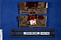 AFDIL Photo depicting two closed slide mailers each marked: 'From Q96 PC L2082', top slide marked '99C-0438-112A' and the bottom slide marked: '99C-0438-115A'