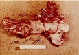 Bloody glove fragment from east (master) bedroom of 544 Castle Drive